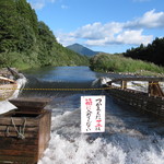 ヤナ場からの三面川