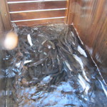 布部やな場 - 箱の中