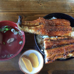 上丼（上方から）