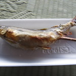 布部やな場 - 鮎