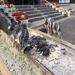 ハイルザーム栗駒 - 登山の帰りのイワナの塩焼きです。
            さっきまで生きてたよ。