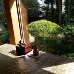 手打ち蕎麦 こはし - 席から見える中庭　