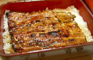 Unagi Irokawa - 