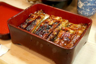 Unagi Irokawa - 