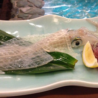 河太郎 中洲本店 - イカのお刺身
                    