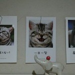 こねぎ屋食堂 - トイレの猫の格言に癒されます。