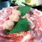 ひーくん - これまた最高！