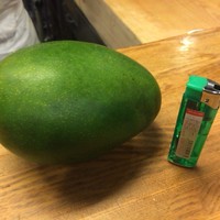 定谷 - 世界一うまいグリーンマンゴー
