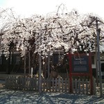 喜六そば - おまけ① 龍谷時♪