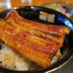 うなぎ屋酒坊・画荘 越後屋 - 27年9月　養殖鰻丼　アップ