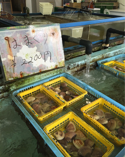 『孤独のグルメの再放送された銚子に仕事で来たので巡礼で朝ごはん』by たけとんたんた 【閉店】つちや食堂 飯岡/食堂 [食べログ]