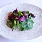 AKELARE - 雨が降った後の、葉とフォアグラ