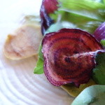 AKELARE - 葉を動かすと