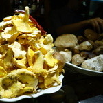 Ganbara - きのこの山