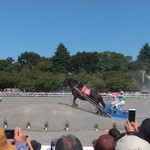 馬事公苑 売店 - 450kgの重りを引く、ばんえい競馬　（2015 愛馬の日）