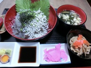 みはる - 朝獲れ生しらすと釜あげしらすがたっぷり二色丼！