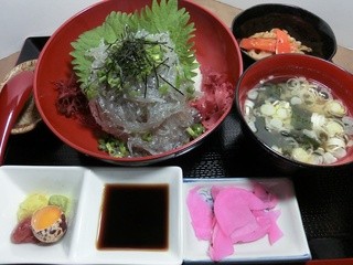 みはる - 朝獲れ生しらすがたっぷり、生しらす丼！