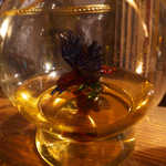 Gatito - 瓶の中のイーグル。テキーラを浴びるほど飲んで、真っ赤ですね♪