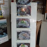 田子の浦港 漁協食堂 - 