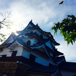 Hakone Miyage Honjin -          彦根城‼︎
                        偶然何か写り込んでるょ~
                        ﾊｯヶ───(｀・ω『+』───ﾝ
                        