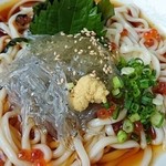 こと屋 - 生シラスうどん（黄色っぽいジュレがかかっている）