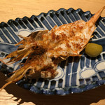 べにくらげ - シラサエビからすみ焼き