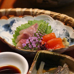 松川温泉　峡雲荘 - 夕食、お造り