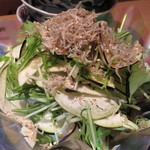 やなぎ澤 - 【再訪28】水茄子と水菜のじゃこサラダ