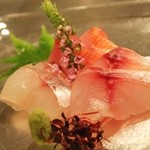 銀座 こころん - 