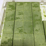 ロイズ - 見た目から美味しそう