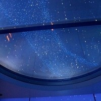 サンシャイン クルーズ・クルーズ - 