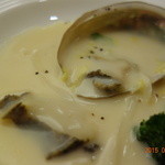 貝殻はインテリア。