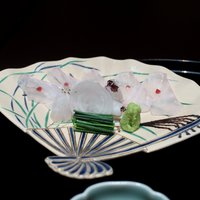 京都 吉兆 - お造：和歌山産くえ、エンガワ、胃袋