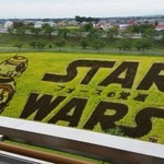 道の駅 いなかだて 弥生の里 - 圧巻の田んぼアートですね～。