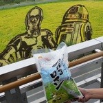 道の駅 いなかだて 弥生の里 - R2-D2とC3POと一緒にパシャっと！