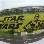 道の駅 いなかだて 弥生の里 - パノラマ撮影で、第２田んぼアート「スター・ウォーズ　フォースの覚醒」