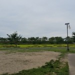 道の駅 いなかだて 弥生の里 - 地上から見た田んぼアート