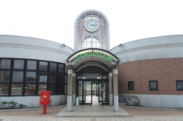 湖東のやさい畑 - 井川さくら（ソフトクリーム）の写真