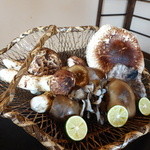 柚木元 - 朝取り松茸