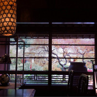 東京 芝 とうふ屋うかい - 