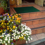 ラ・ファリネッラ - 花が咲き誇る階段