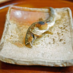 松川 - 【秋】滋賀県安曇川（あどがわ）産子持ち鮎の塩焼き（2015.09.26）