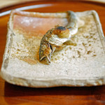 松川 - 【秋】滋賀県安曇川（あどがわ）産子持ち鮎の塩焼き（2015.09.26）