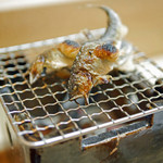 【秋】滋賀県安曇川（あどがわ）産子持ち鮎の塩焼き（2015.09.26）