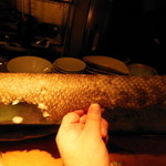 大どころ - 本クエ（アラ）