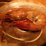 大どころ - ボタンエビ