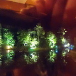 メインダイニングルーム - シシ神さまはいないかな。。