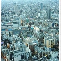 サンシャイン クルーズ・クルーズ - 