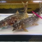 揖斐川丘苑 - 鮎の塩焼き.2015