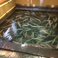 博多料亭 稚加榮 - 